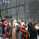 buyukshirin-doga-parki-bayramda-28-bin-ziyaretciyi-agirladi-6jpg-17069920260531101018.jpg