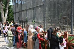 buyukshirin-doga-parki-bayramda-28-bin-ziyaretciyi-agirladi-6jpg-17069920260531101018.jpg