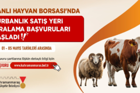 canli_hayvan_borsasi.jpeg