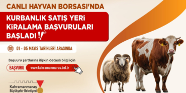 canli_hayvan_borsasi.jpeg