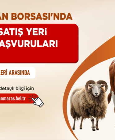 canli_hayvan_borsasi.jpeg