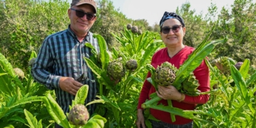 mersin-buyuksehirin-enginar-yumrusu-destegi-ilk-hasadini-verdi-1jpg-16492720260504090358.jpg
