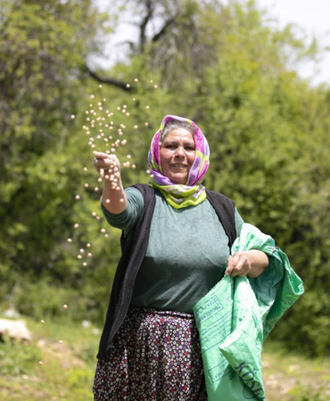 mersin-buyuksehir-belediyesi-atalik-tohumlari-gelecek-nesillere-aktariyor-3-15196920260604093151.jpg