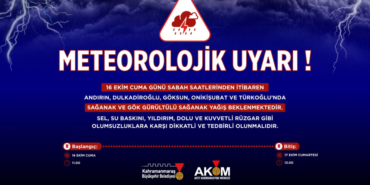 1792091684_yagis.jpeg